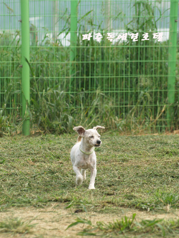 P1011482.jpg