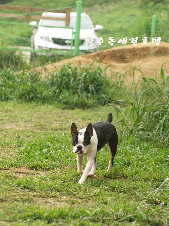 P1011484.jpg