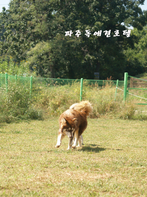 P1011520.jpg