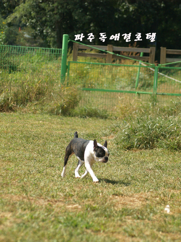 P1011539.jpg