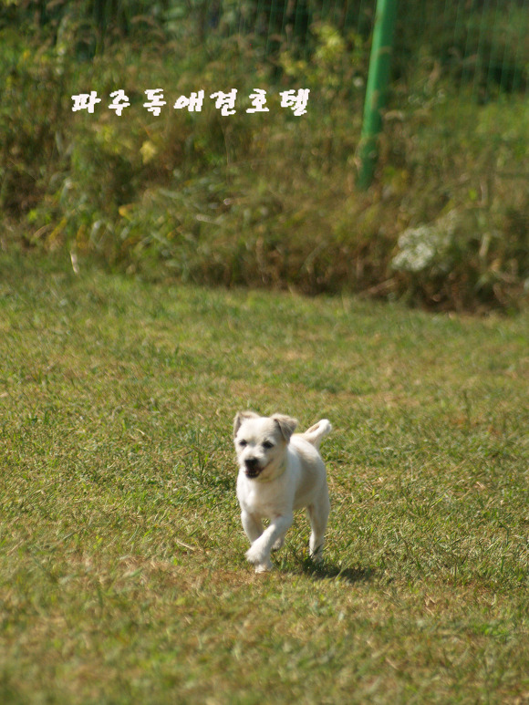 P1011552.jpg