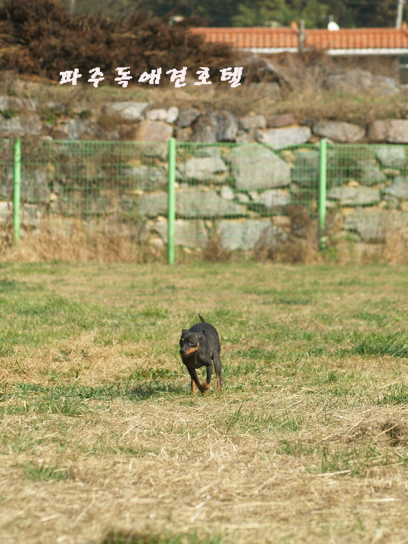 P1011613.jpg