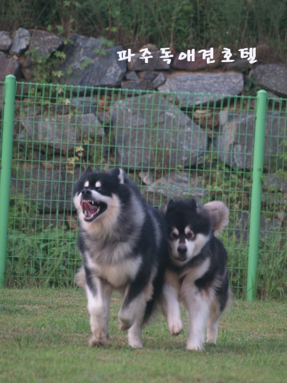 c64a2d6e91c71990bf297be1cb6c15a1.jpg
